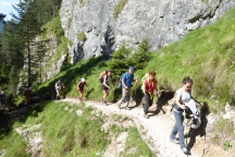 Schilliar_18072_005