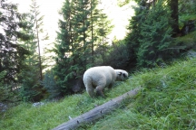 Schilliar_18072_006