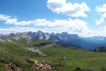 Schilliar_18072_051d