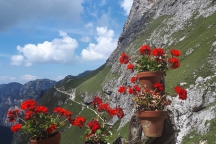 Schilliar_180729_096h