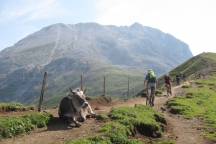 Alpe di Siusi 2015 GG2 (19)