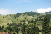 Alpe di Siusi 2015 GG2 (28)