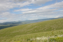 Georgia_160708_1417