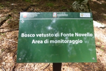 GSasso_160725_0441