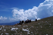 20190719_121849
