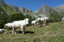 ValleMaira_200725_014