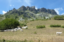 ValleMaira_200725_076