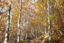 WarLine_201010_039