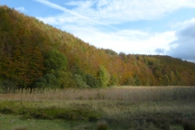 WarLine_201010_050