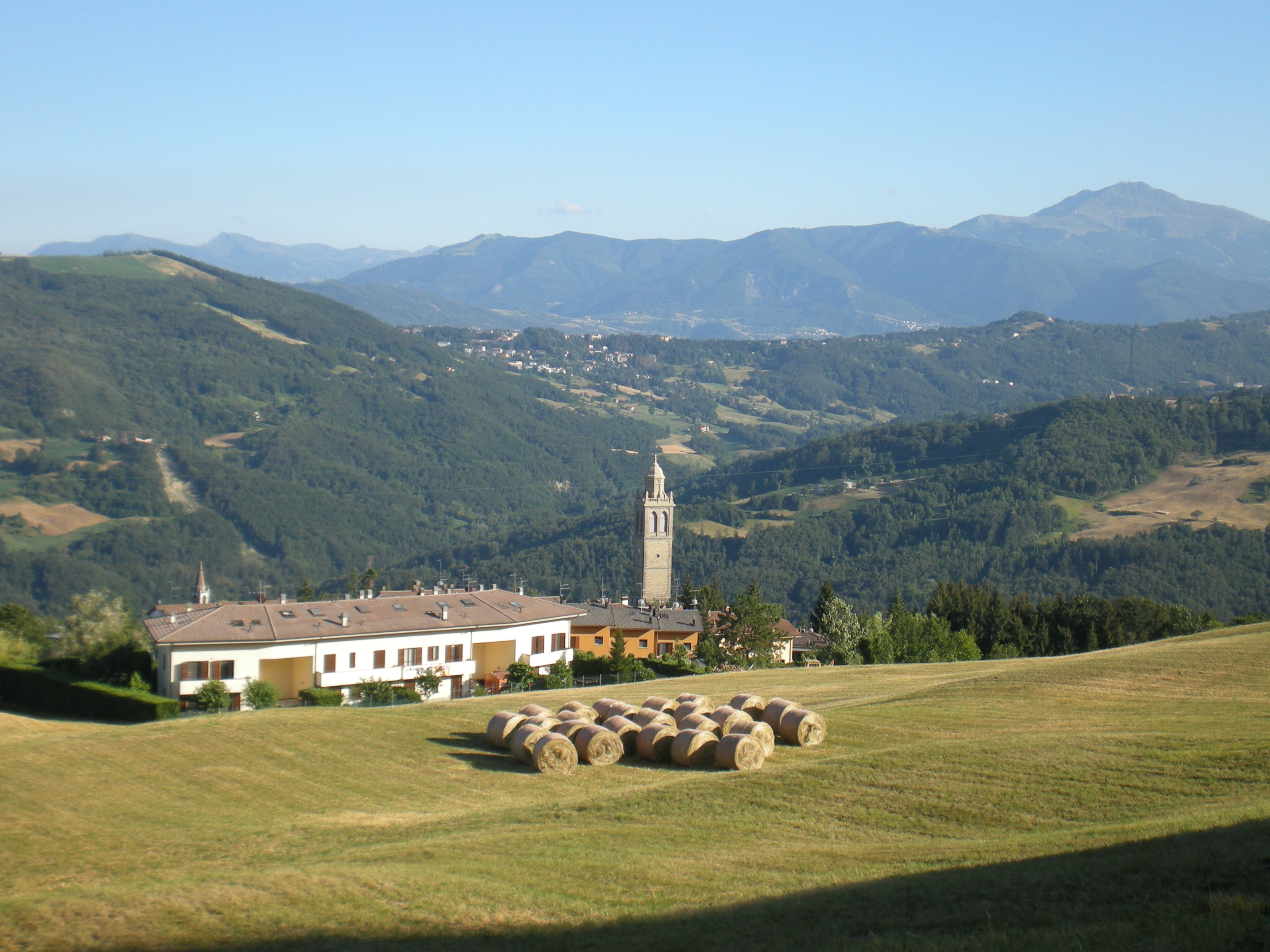 Scheda Dettagliata