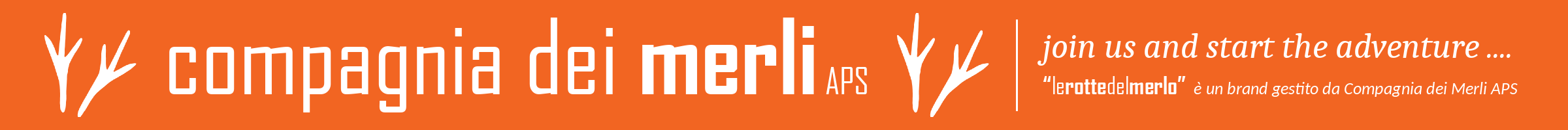 lerottedelmerlo