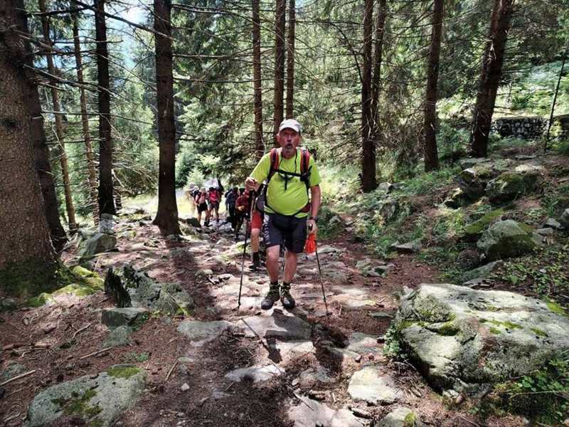 Si sale nel bosco di abeti, in fila lungo il sentiero