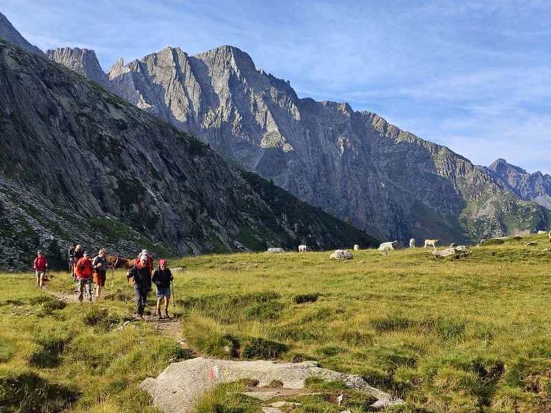 Il gruppo risale la valle tra i pascoli